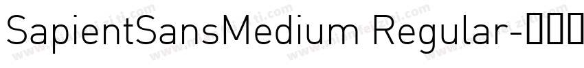 SapientSansMedium Regular字体转换